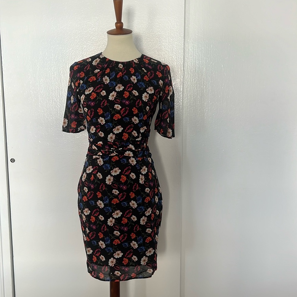 Whistles Dress